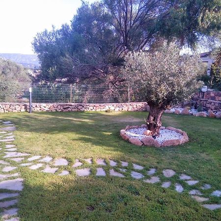 Villetta Cala D'Ambra San Teodoro  Eksteriør bilde