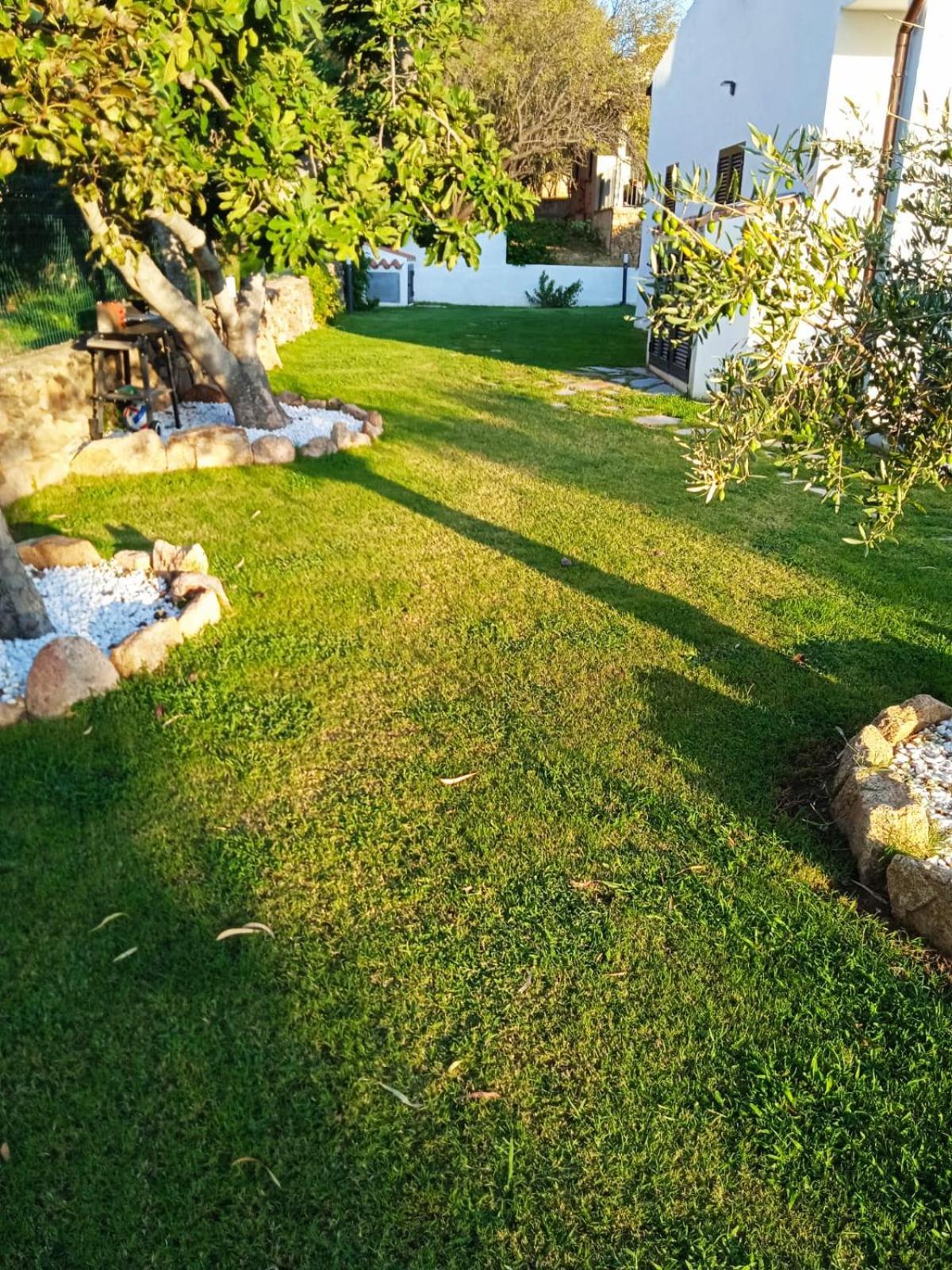Villetta Cala D'Ambra San Teodoro  Eksteriør bilde